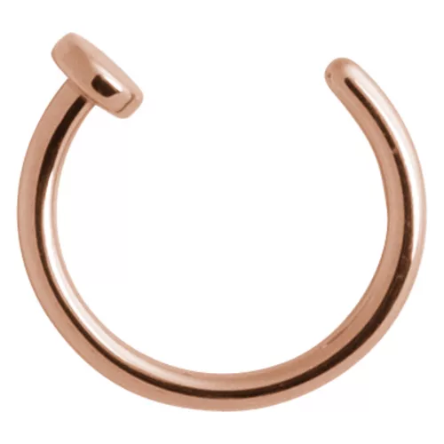 Fansing 316l Surgical Steel Hinged Nose Rings Hoop 20g 18g 16g 14g 12g 10g  8g 6g, Diameter 5mm To 22mm, Gold - Rose Gold - Silver - Black - Blue - Rai  | Fruugo TR