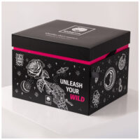 Schwarzer Wildcat Adventskalender 2025 mit weißen Illustrationen auf weißem Hintergrund