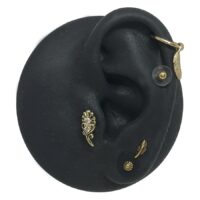 Silikon Discs gegen Wildfleisch Silikon Discs gegen Wildfleisch