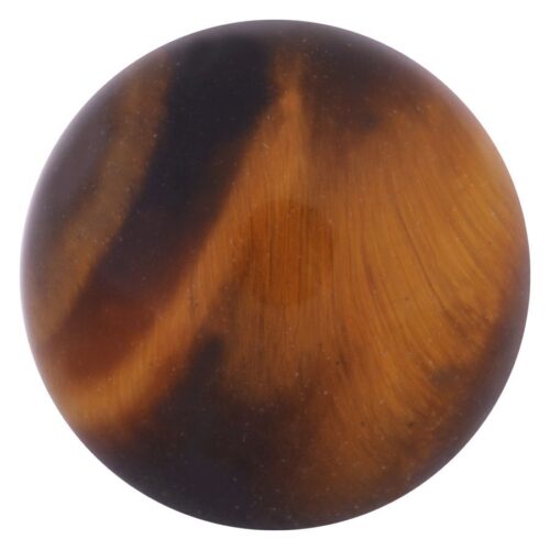 Runder Piercing Aufsatz aus Tigerauge auf weißem Hintergrund