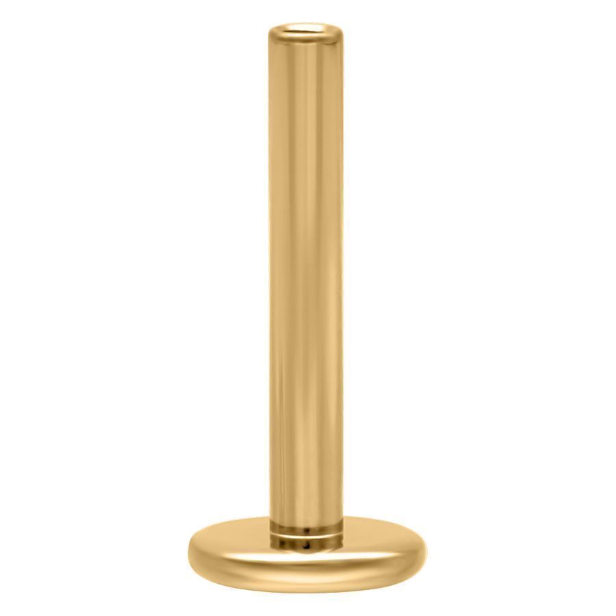 Titan Labret Stem Gold 1,2 mm x 5 mm Goldenes Titan Labret Stem mit Innengewinde, 1,2 mm Stärke, 5 mm Länge auf weißem Hintergrund