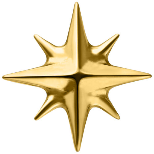 Push Fit Star Attachment - Golden Metal
