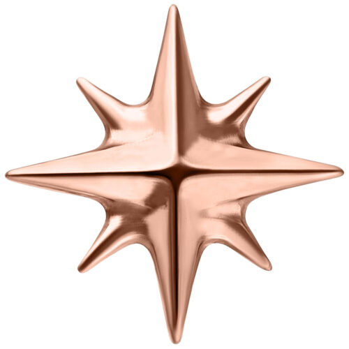 Push Fit Star Attachment - Rosegold