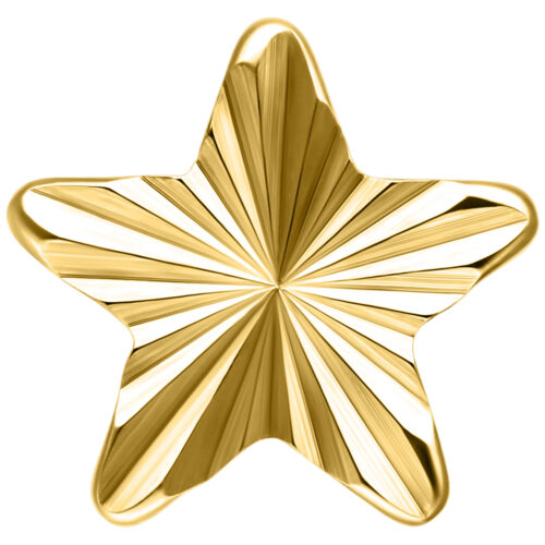 Push Fit Riffled Winter Star Attachment - Golden Metal