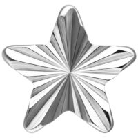 Riffled Star Aufsatz aus Titan in Silber Silberner Titanstern-Aufsatz mit geriffelter Oberfläche auf weißem Hintergrund