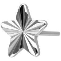 Riffled Star Aufsatz aus Titan in Silber Silberner Sternaufsatz aus Titan mit Riffelmuster auf weißem Hintergrund