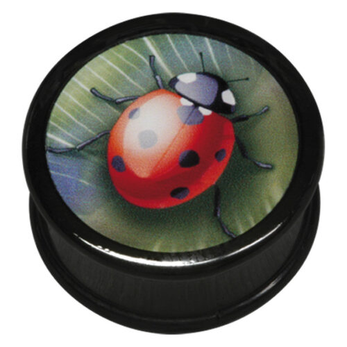 Schwarzer Plug mit Marienkäfer-Design auf grünem Blatt Hintergrund