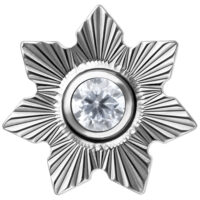 Sternförmiger Aufsatz aus Titan mit kristallklarem Stein auf weißem Hintergrund