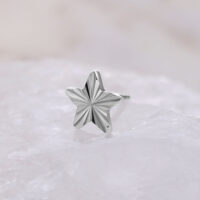 Titan Sternaufsatz in Silber für Push Fit Silberner sternförmiger Titanaufsatz auf hellem Hintergrund