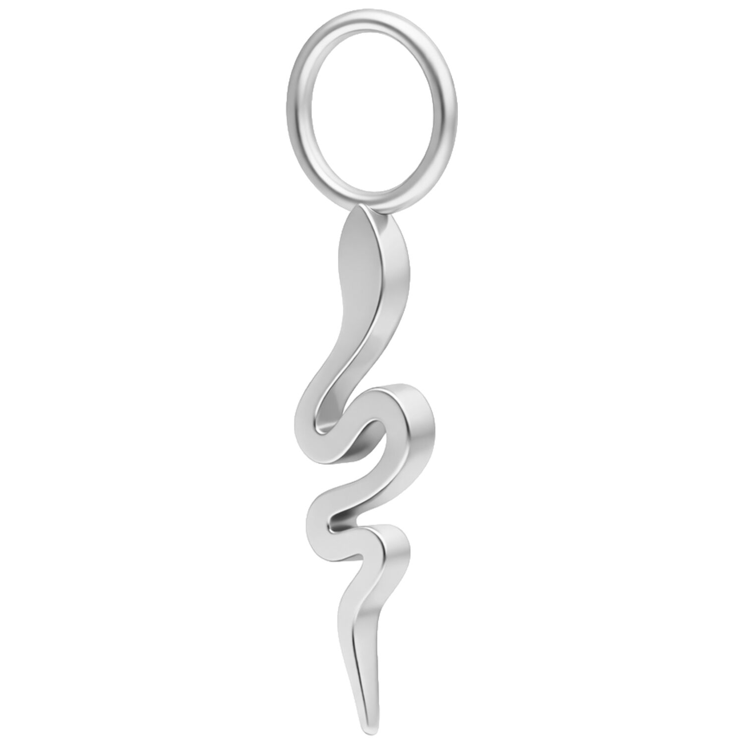 Silberner Schlangenanhänger aus Metall Silberfarbener Schlangenanhänger aus Chirurgenstahl auf weißem Hintergrund