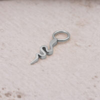 Silberner Schlangenanhänger aus Chirurgenstahl Silberner Schlangenanhänger aus Chirurgenstahl auf hellem Hintergrund