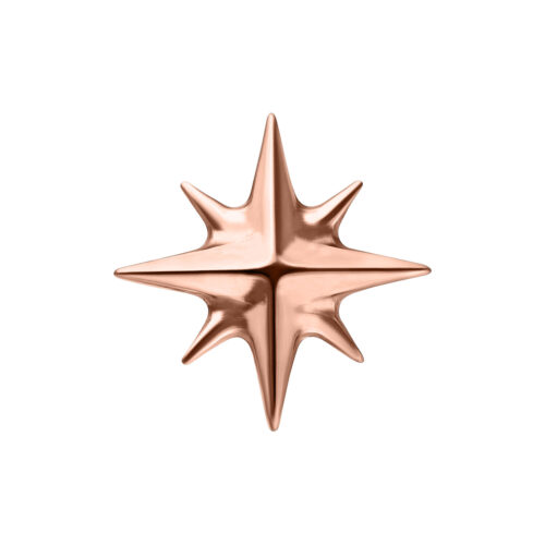 Push Fit Star Attachment - Rosegold