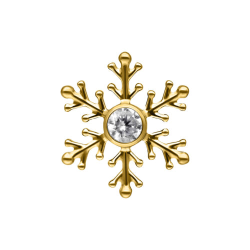 Push Fit Winter Snowflake Attachment - Golden Metal