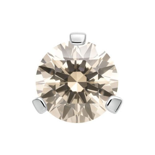 Terminale Perfect Fit Prong Set